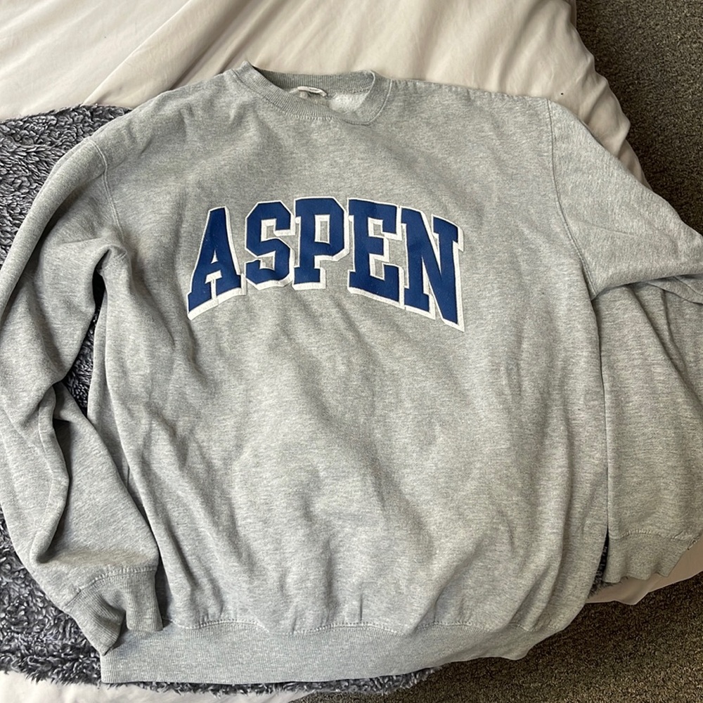 Brandy Melville Blue and Grey Aspen Crewneck Hoodie